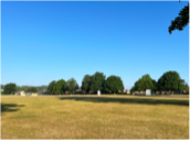 Broadwater Park